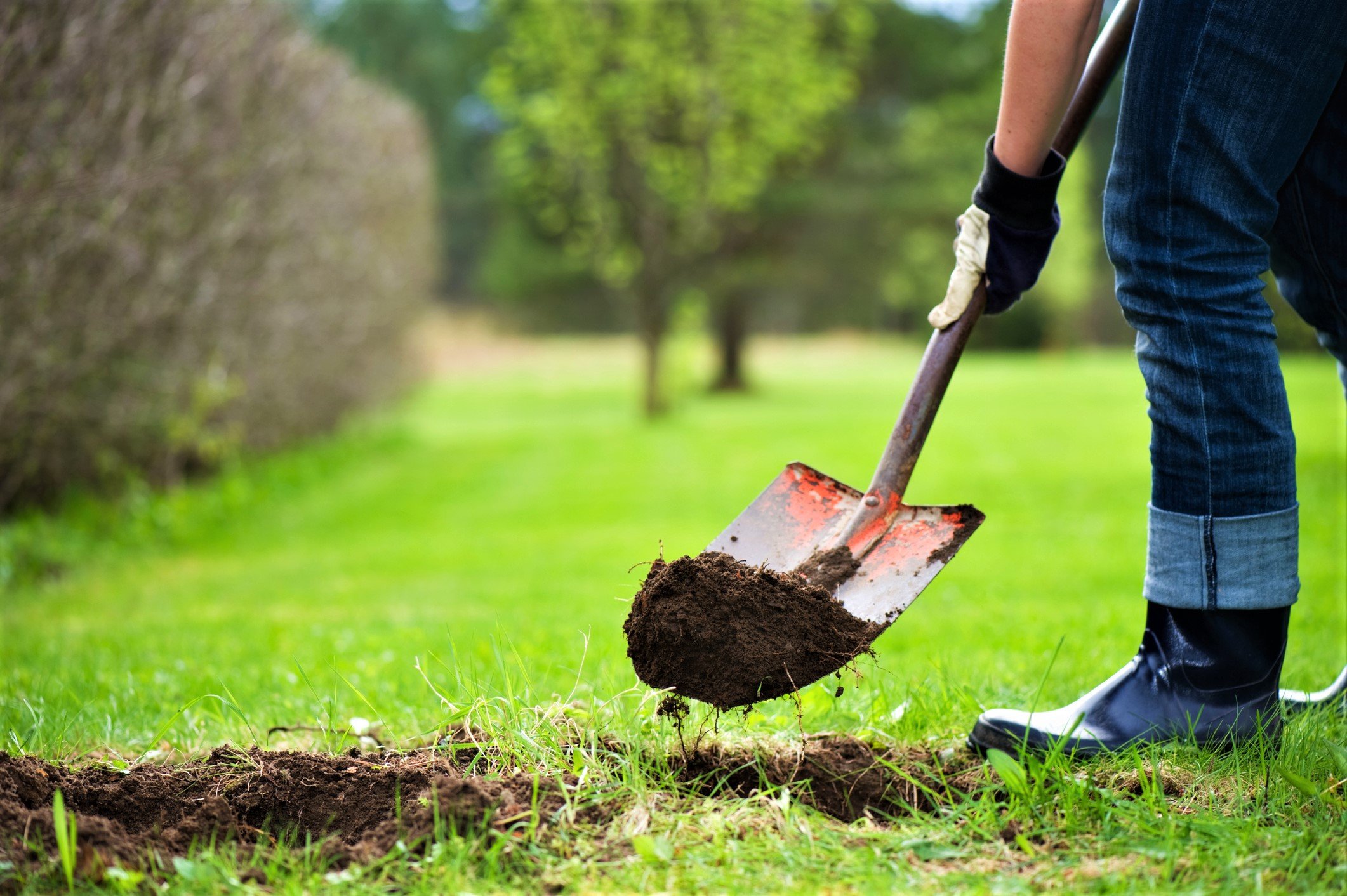 Stay safe while digging in your yard